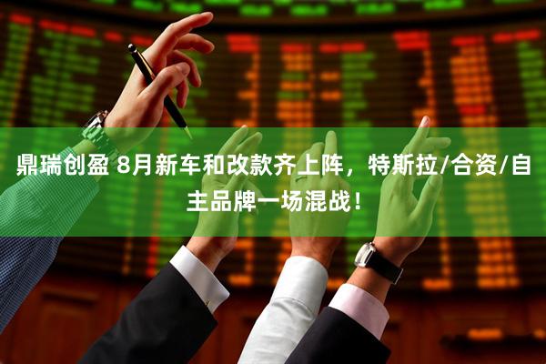鼎瑞创盈 8月新车和改款齐上阵，特斯拉/合资/自主品牌一场混战！