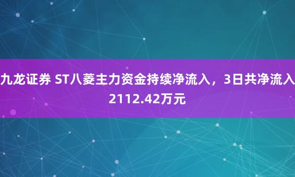 九龙证券 ST八菱主力资金持续净流入，3日共净流入2112.42万元