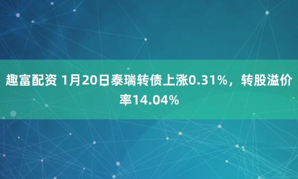 趣富配资 1月20日泰瑞转债上涨0.31%，转股溢价率14.04%